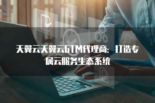 天翼云天翼云GTM代理商:打造专属云服务生态系统