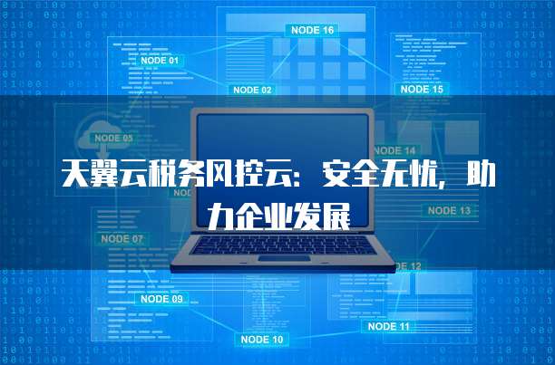 天翼云税务风控云:安全无忧,助力企业发展