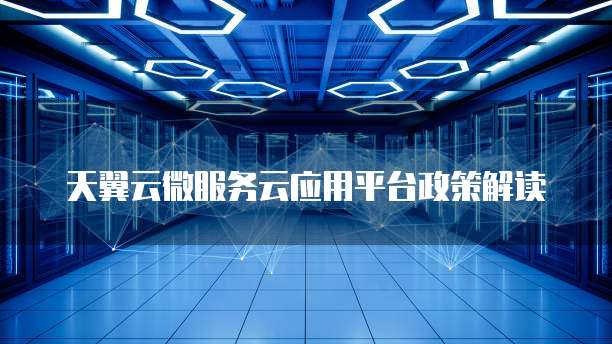 天翼云微服务云应用平台政策解读