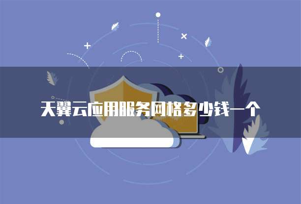 天翼云应用服务网格多少钱一个