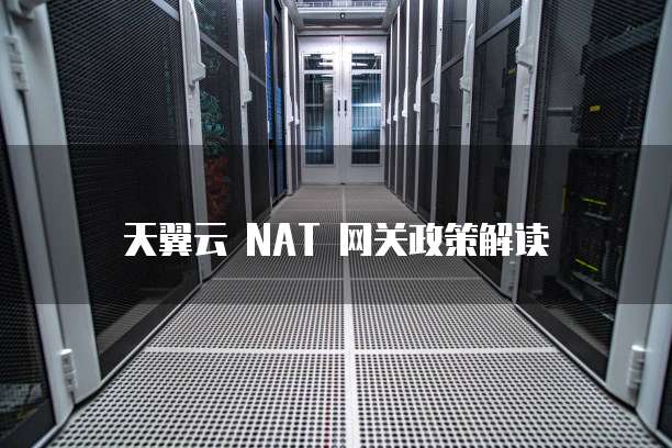 天翼云 NAT 网关政策解读