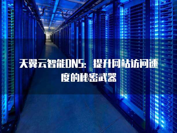 天翼云智能DNS:提升网站访问速度的秘密武器