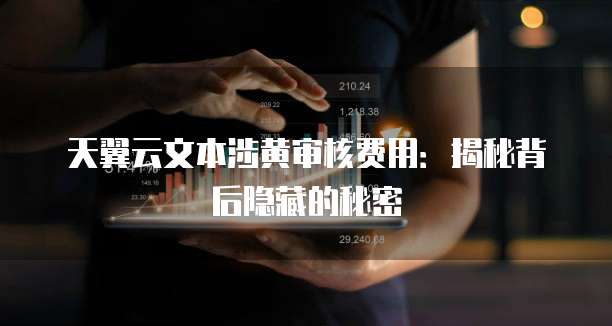 天翼云文本涉黄审核费用：揭秘背后隐藏的秘密