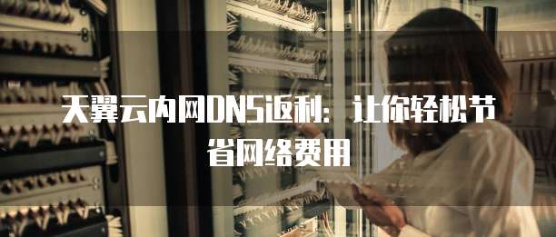天翼云内网DNS返利:让你轻松节省网络费用