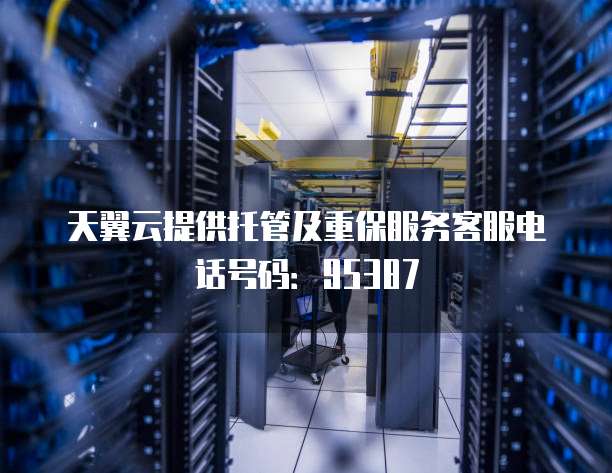 天翼云提供托管及重保服务客服电话号码:95387