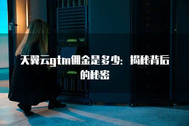 天翼云gtm佣金是多少:揭秘背后的秘密