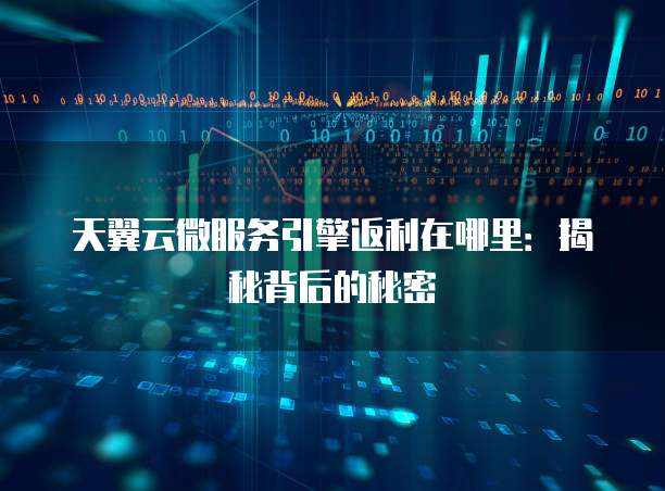 天翼云微服务引擎返利在哪里:揭秘背后的秘密