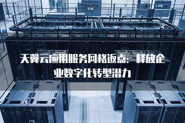 天翼云应用服务网格返点：释放企业数字化转型潜力