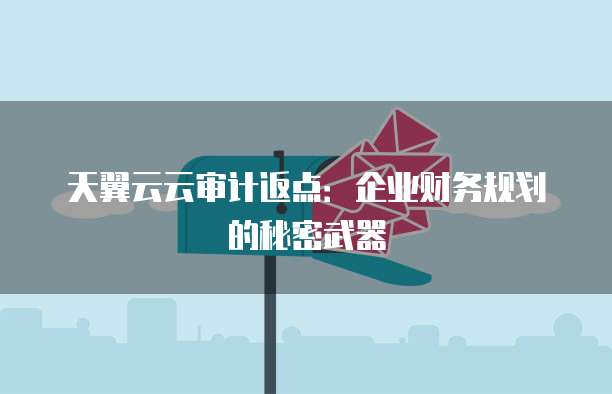 天翼云云审计返点:企业财务规划的秘密武器