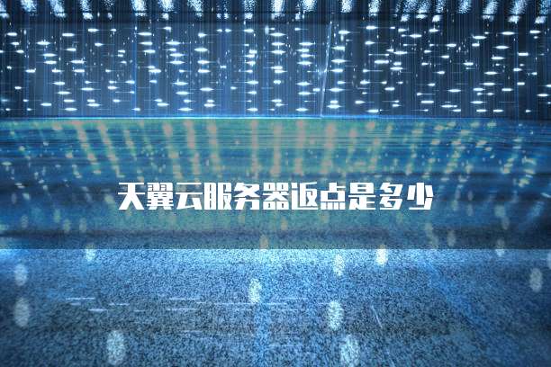 天翼云服务器返点是多少