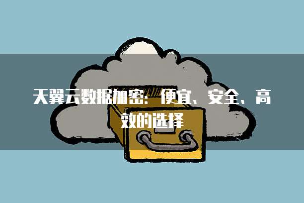 天翼云数据加密:便宜、安全、高效的选择