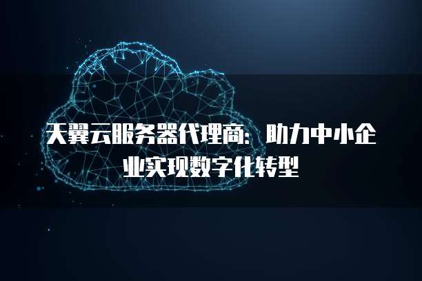 天翼云服务器代理商:助力中小企业实现数字化转型