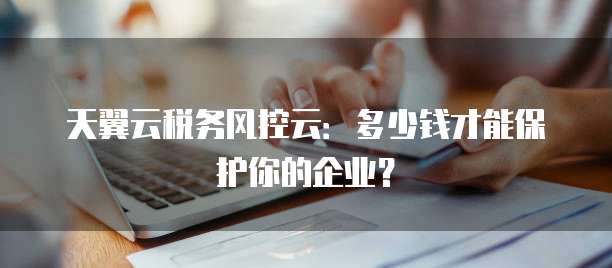 天翼云税务风控云:多少钱才能保护你的企业?