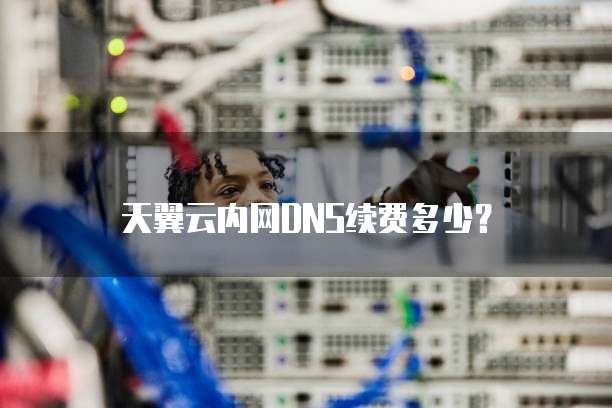 天翼云内网DNS续费多少?