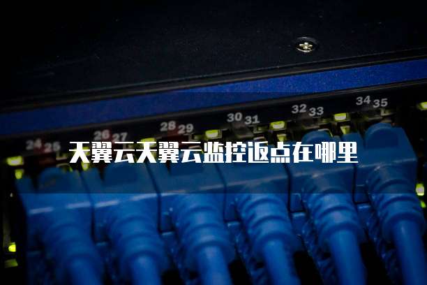 天翼云天翼云监控返点在哪里