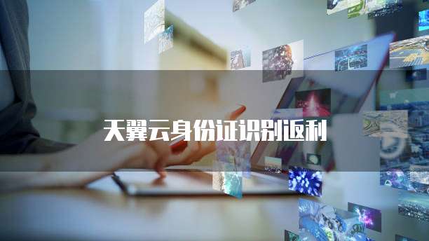 天翼云身份证识别返利