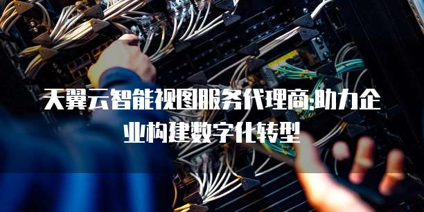 天翼云智能视图服务代理商:助力企业构建数字化转型
