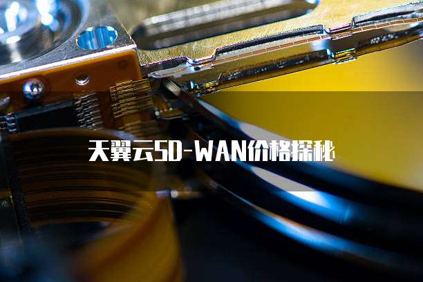 天翼云SD-WAN价格探秘