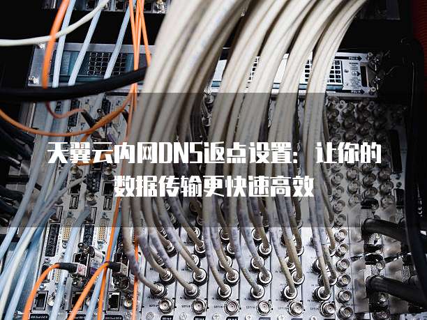 天翼云内网DNS返点设置:让你的数据传输更快速高效