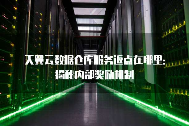 天翼云数据仓库服务返点在哪里:揭秘内部奖励机制