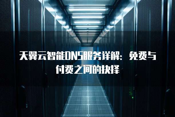 天翼云智能DNS服务详解:免费与付费之间的抉择