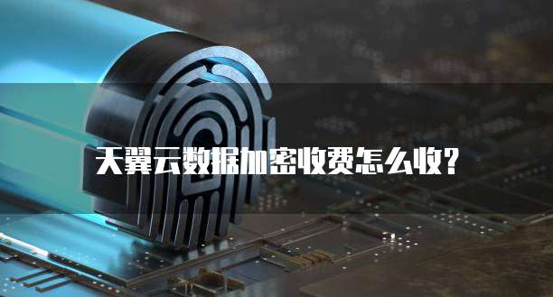 天翼云数据加密收费怎么收？