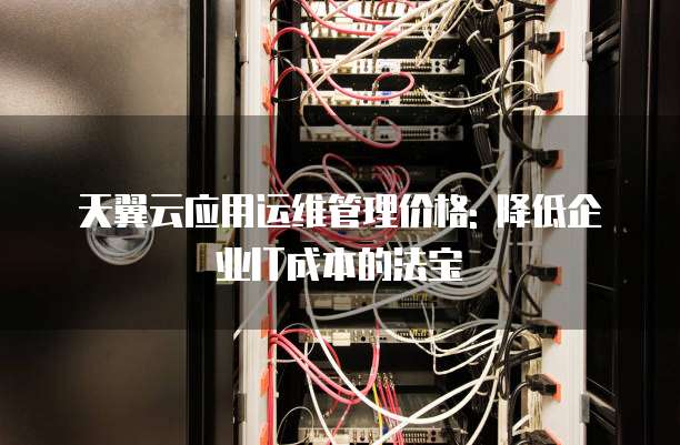 天翼云应用运维管理价格: 降低企业IT成本的法宝