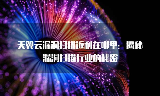 天翼云漏洞扫描返利在哪里：揭秘漏洞扫描行业的秘密