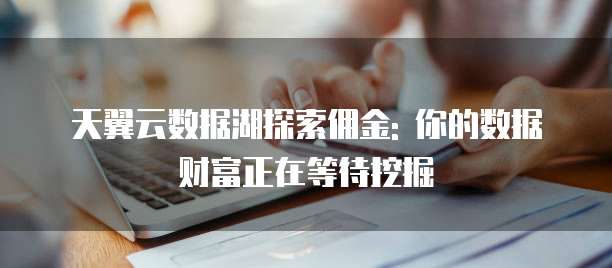天翼云数据湖探索佣金: 你的数据财富正在等待挖掘