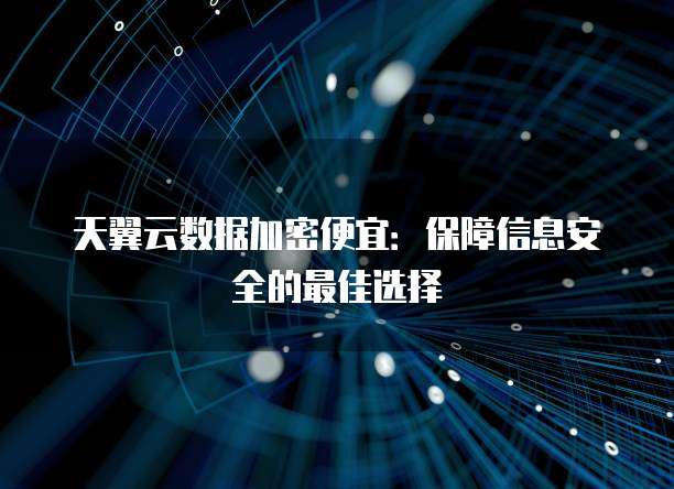 天翼云数据加密便宜:保障信息安全的最佳选择