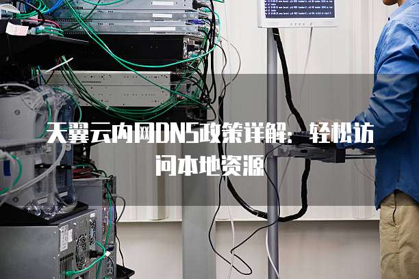 天翼云内网DNS政策详解:轻松访问本地资源