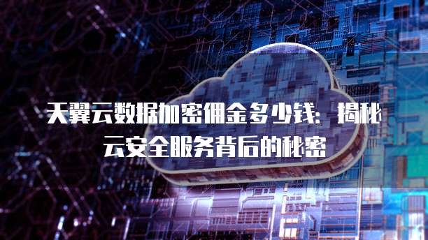 天翼云数据加密佣金多少钱：揭秘云安全服务背后的秘密