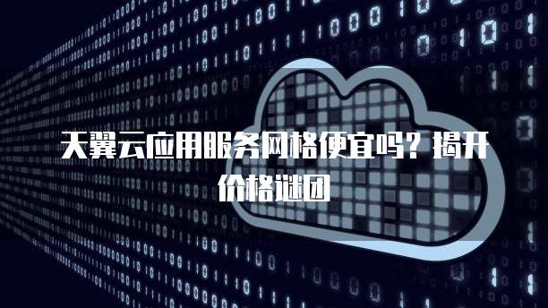 天翼云应用服务网格便宜吗?揭开价格谜团
