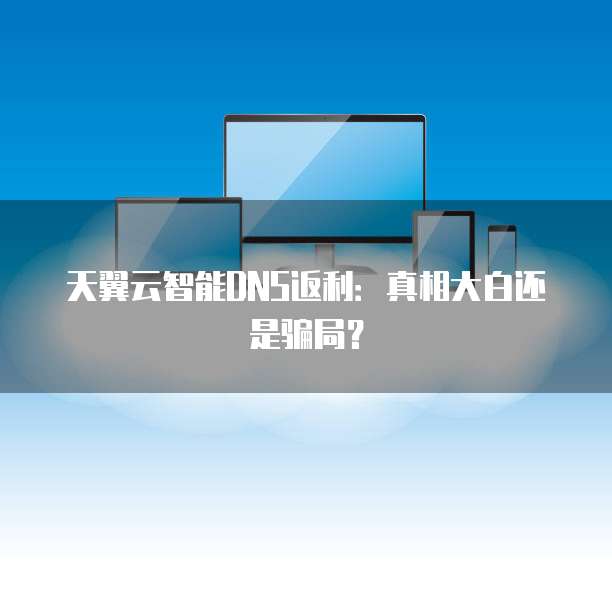 天翼云智能DNS返利：真相大白还是骗局？