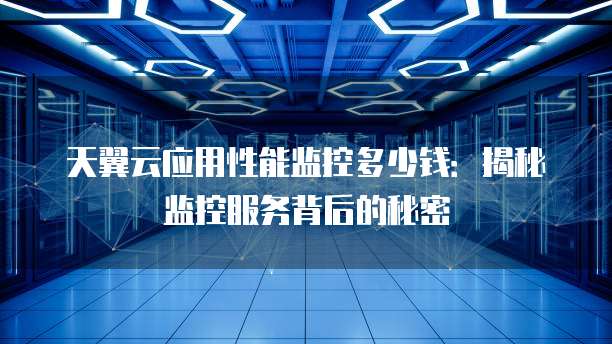 天翼云应用性能监控多少钱：揭秘监控服务背后的秘密