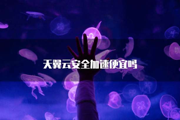 天翼云安全加速便宜吗