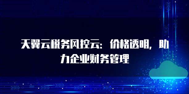 天翼云税务风控云:价格透明,助力企业财务管理