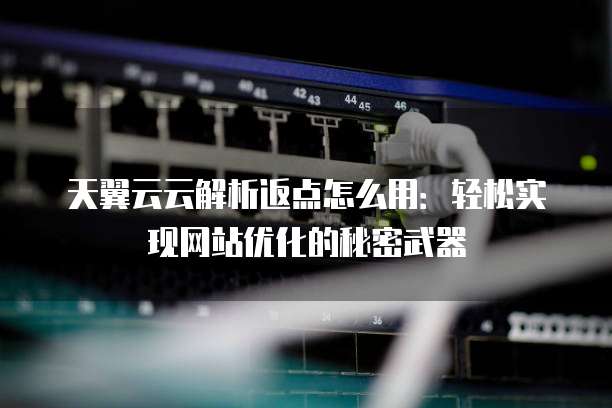 天翼云云解析返点怎么用:轻松实现网站优化的秘密武器