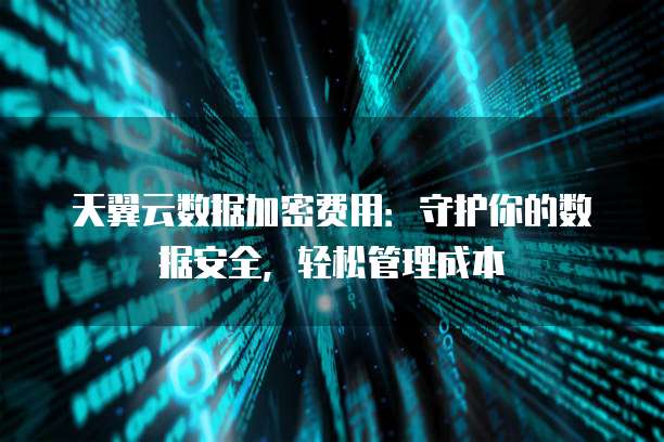 天翼云数据加密费用:守护你的数据安全,轻松管理成本