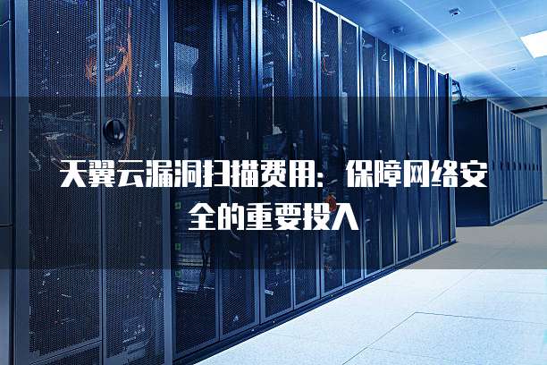 天翼云漏洞扫描费用：保障网络安全的重要投入