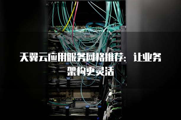 天翼云应用服务网格推荐：让业务架构更灵活