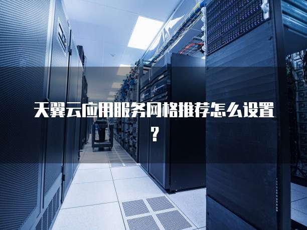 天翼云应用服务网格推荐怎么设置？