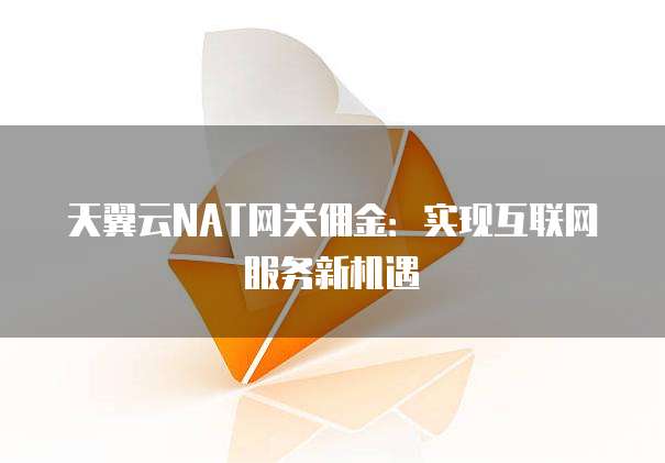 天翼云NAT网关佣金:实现互联网服务新机遇