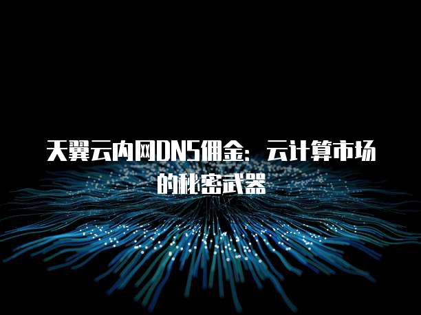天翼云内网DNS佣金:云计算市场的秘密武器