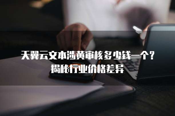 天翼云文本涉黄审核多少钱一个？揭秘行业价格差异