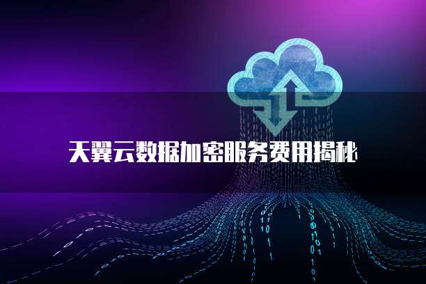 天翼云数据加密服务费用揭秘
