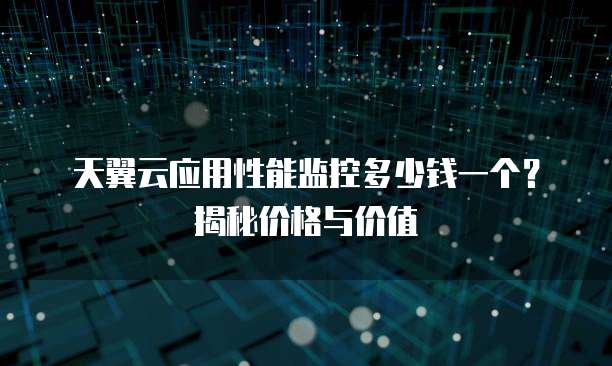 天翼云应用性能监控多少钱一个?揭秘价格与价值