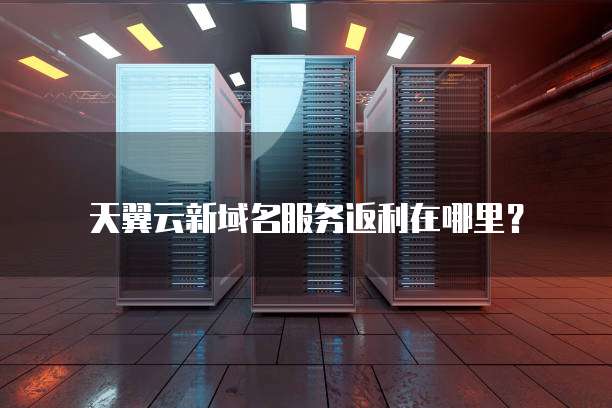 天翼云新域名服务返利在哪里?