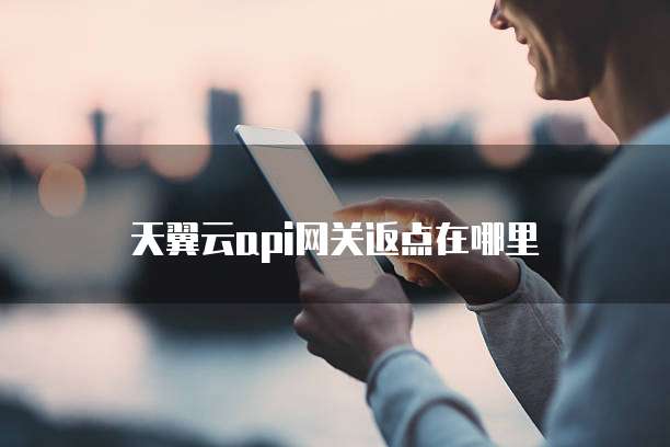 天翼云api网关返点在哪里
