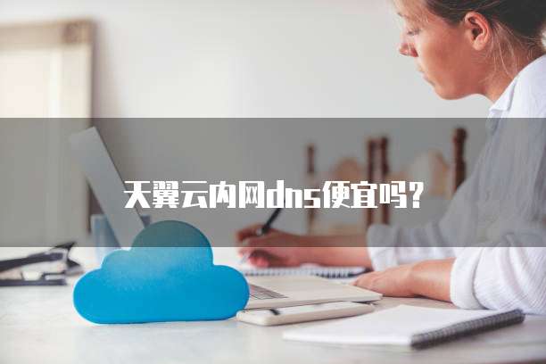 天翼云内网dns便宜吗?